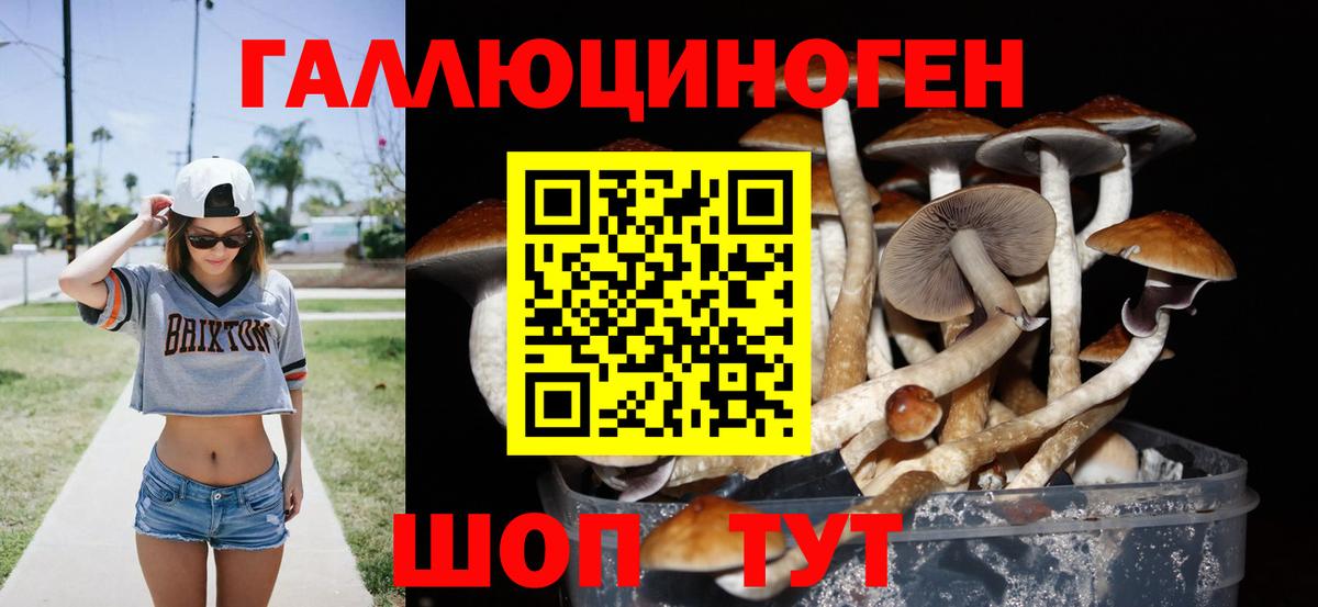 Ливны  Галлюциногенные грибы Psilocybe  Галлюциногенные грибы ЛСД  Вход с VPN 