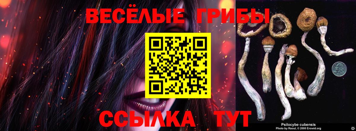 Галлюциногенные грибы GOLDEN TEACHER Ливны